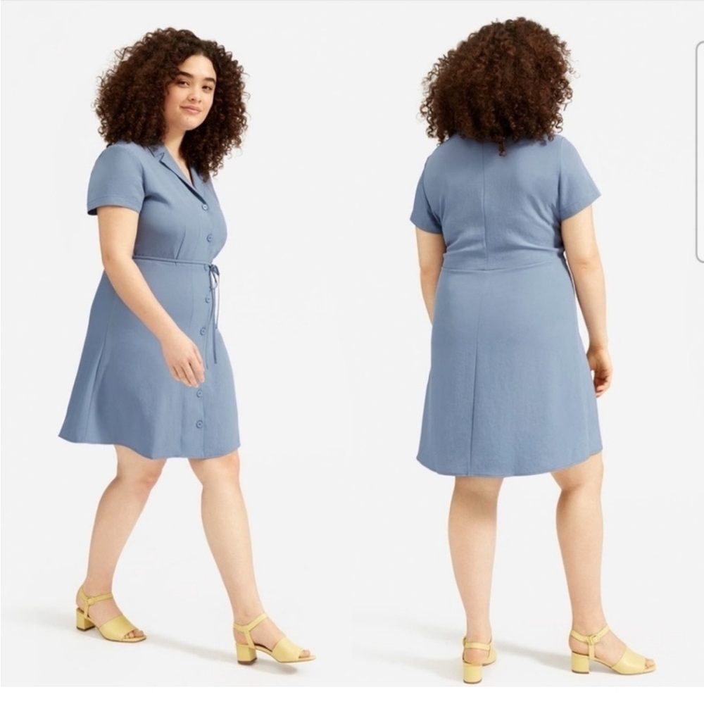 Everlane the Japanese goweave blue fitted midi button down midi dress
